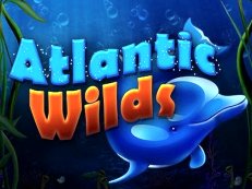 atlantic wilds