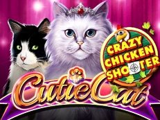 cutie cat crazy chicken shooter